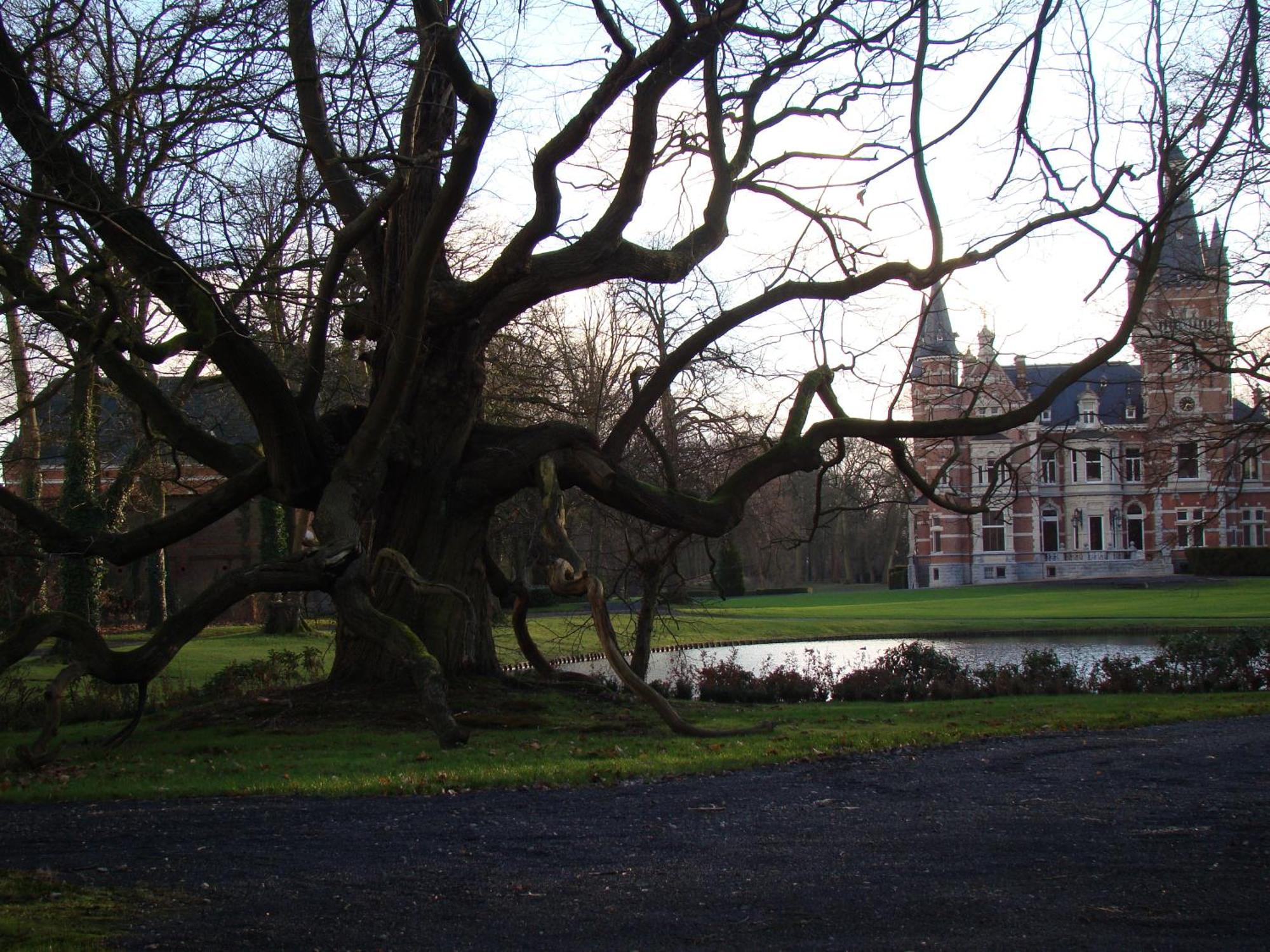 B&B Sogni D'Oro Lovendegem Dış mekan fotoğraf